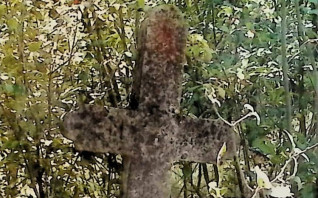 Kamienny krzyż z półkolistymi guzkami na niskim cokole, otoczony roślinnością. Widoczna inskrypcja z przodu.