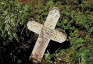 Fotografia przedstawiająca Tombstone of Maria Hamalewicz