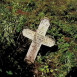 Fotografia przedstawiająca Tombstone of Maria Hamalewicz