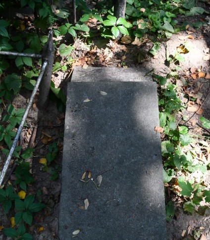 Kamienny cokół w formie pulpitu z wyrytą inskrypcją na górze, otoczony zielenią i metalową balustradą.