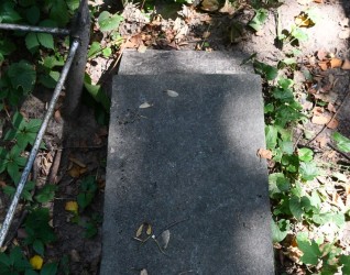 Kamienny cokół w formie pulpitu z wyrytą inskrypcją na górze, otoczony zielenią i metalową balustradą.