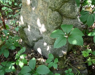 Nagrobek Eliasza Onufrowicza z kamiennym cokołem przypominającym stos kamieni. Widoczna tablica z inskrypcją w reliefie. Otoczony ogrodzeniem ze słupkami zakończonymi motywem esownicy.