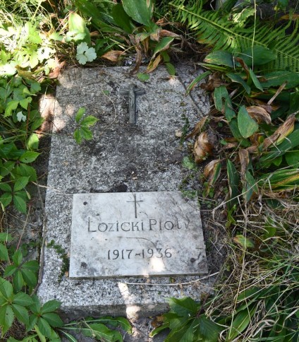 Nagrobek Piotra Łozickiego z reliefem krzyża i inskrypcją 'Łozicki Piotr 1917-1936'. Otoczony zielonymi roślinami.