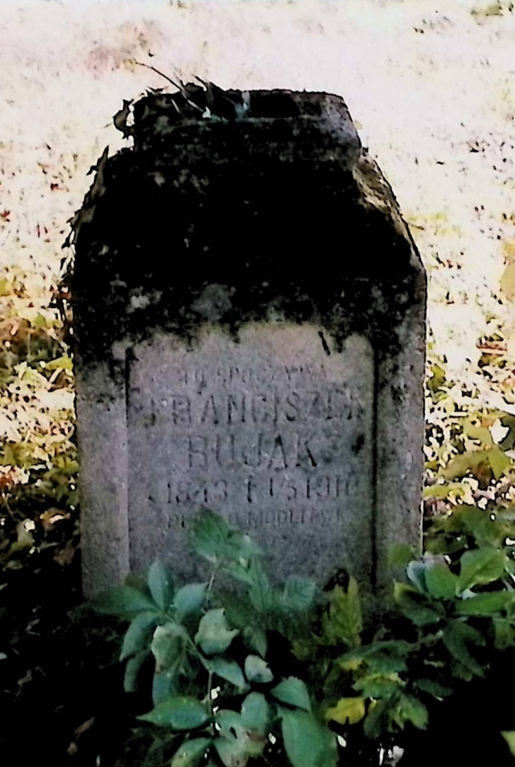 Photo montrant Tombstone of Franciszek Bujak