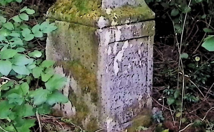 Photo montrant Tombstone of Julianna Krycka