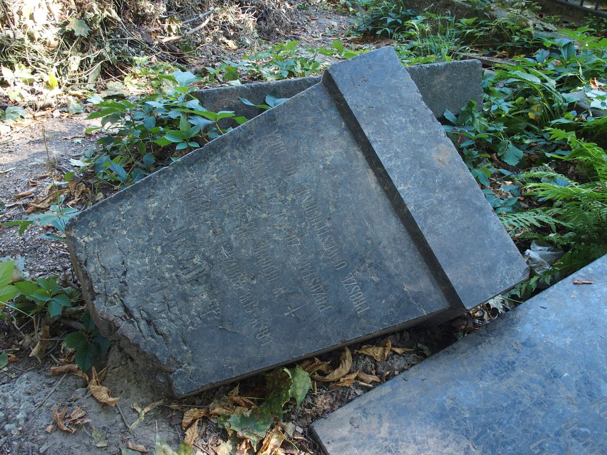 Photo montrant Tombstone of Jan Krynski