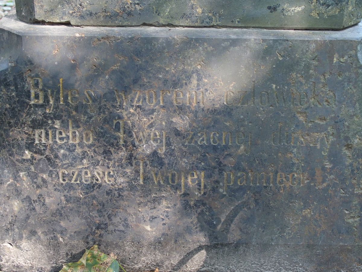 Fotografia przedstawiająca Tombstone of Dawid Ilnicki