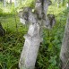 Photo montrant Tombstone of Ignacy Nowicki and Doe.