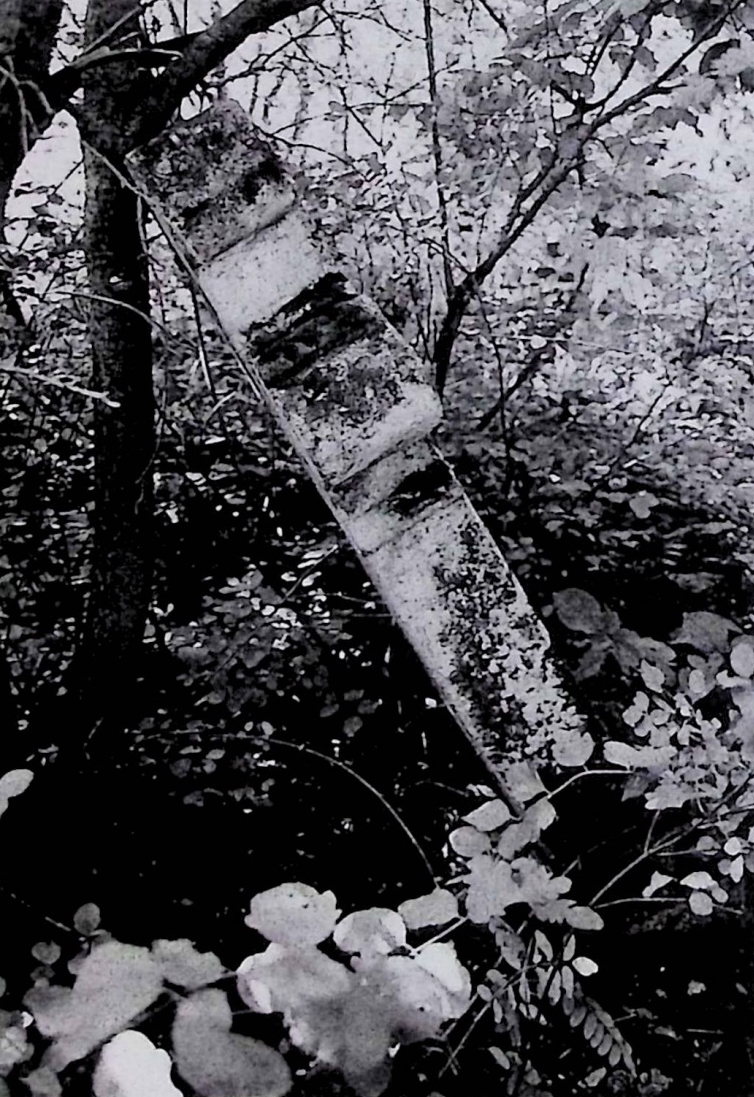 Fotografia przedstawiająca Nagrobek N.N.