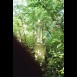 Fotografia przedstawiająca Nagrobek Julii Korytko