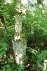 Photo showing Tombstone of Tekly Niemiec