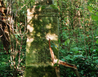 Pokryty mchem nagrobek z krzyżem na cokole w zalesionej okolicy. Krzyż ma ramiona zakończone trójliściem z wyrytymi rozetami i reliefem Chrystusa. Poniżej czaszka z piszczelami oraz wyryte inskrypcje.