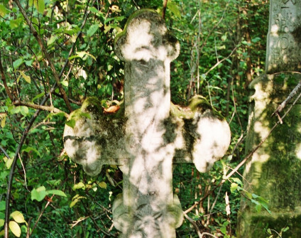 Kamienny krzyż z zakończeniami w formie trójliścia i wyrytą rozetą, częściowo pokryty mchem, otoczony gęstą roślinnością.