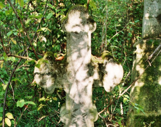 Kamienny krzyż z zakończeniami w formie trójliścia i wyrytą rozetą, częściowo pokryty mchem, otoczony gęstą roślinnością.
