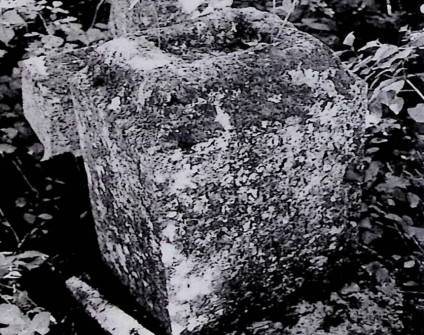 Nagrobek Marii Riduk z leżącym obok utrąconym krzyżem. Cokół ma profilowane krawędzie i ramę z inskrypcją z przodu. Krzyż z wypukłorzeźbioną postacią Chrystusa na przecięciu ramion.