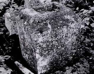 Nagrobek Marii Riduk z leżącym obok utrąconym krzyżem. Cokół ma profilowane krawędzie i ramę z inskrypcją z przodu. Krzyż z wypukłorzeźbioną postacią Chrystusa na przecięciu ramion.