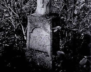 Nagrobek Wasyla Rocara z krzyżem przypominającym pień drzewa na cokole w formie skał. Relief Chrystusa na przecięciu krzyża, powyżej liście dębu. Inskrypcja na przedniej płycinie.