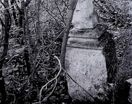 Nagrobek Marii Roszczyk z krzyżem na cokole, z płaskorzeźbionym liściem palmy i stylizowanym kwiatem. Cokół ma profilowane krawędzie i rytą ramę. Otoczony gęstą roślinnością.