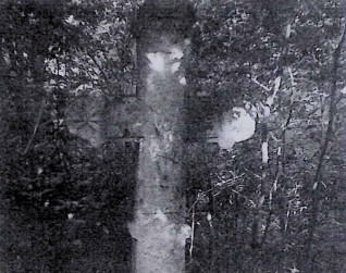 Nagrobek Marii i Michała Skrypyków z krzyżem na niskim cokole. Krzyż ma ramiona zakończone trójliściem z rozetą, mniejszy krzyż z Chrystusem na przecięciu, a na cokole wyryta czaszka z piszczelami.