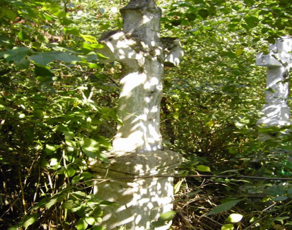 Nagrobek Zygmunta Sobczaka z krzyżem na dwustopniowym cokole, otoczony gęstą roślinnością. Krzyż z reliefem Chrystusa i titulus powyżej.