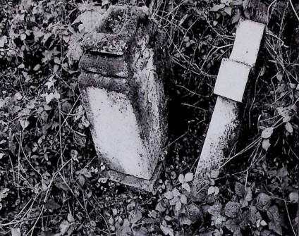 Nagrobek Julii i Karola Sokolnieców. Krzyż jest złamany i leży obok podstawy o ściętych górnych krawędziach. Cokół ma mocno profilowane górne krawędzie z ramą inskrypcyjną z przodu.