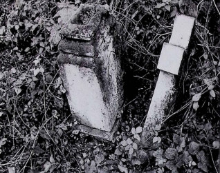 Nagrobek Julii i Karola Sokolnieców. Krzyż jest złamany i leży obok podstawy o ściętych górnych krawędziach. Cokół ma mocno profilowane górne krawędzie z ramą inskrypcyjną z przodu.