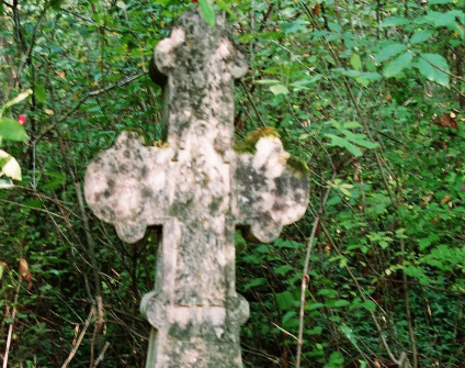 Kamienny krzyż z ramionami zakończonymi trójliściem i zdobieniem rozetą, z rzeźbioną postacią Chrystusa na przecięciu, otoczony gęstą roślinnością.