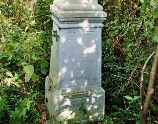 Nagrobek Aleksandra Walkowa z krzyżem na dwustopniowym cokole. Krzyż z reliefem Chrystusa i inskrypcją w ramie o zaokrąglonych narożach. Otoczony gęstą roślinnością.