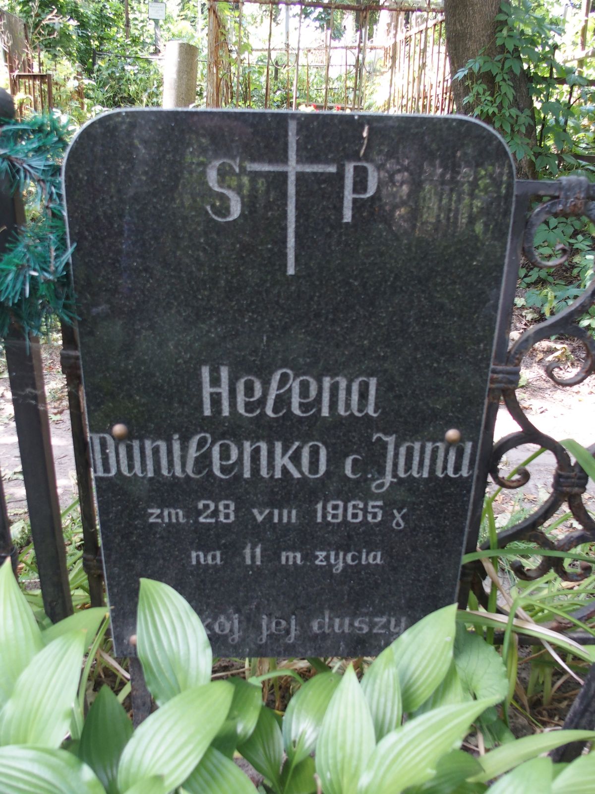 Tombstone of Helena Danilenko