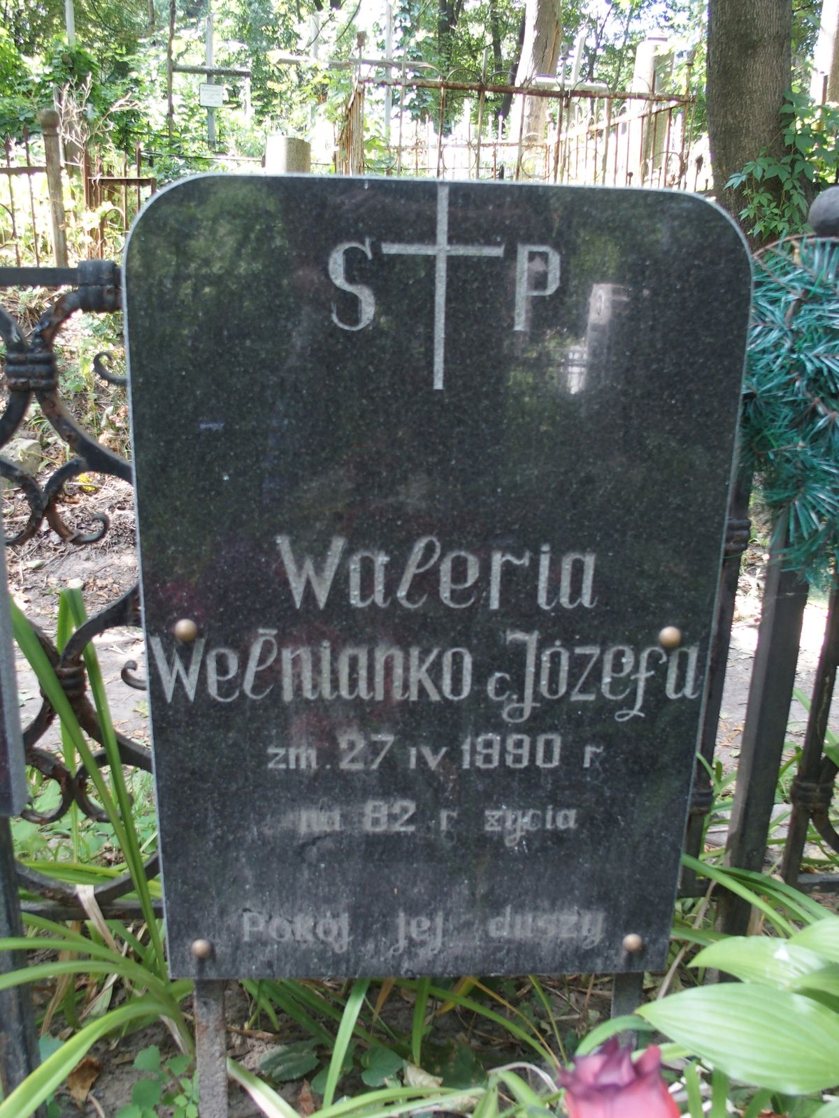 Tombstone of Waleria Wełnianko