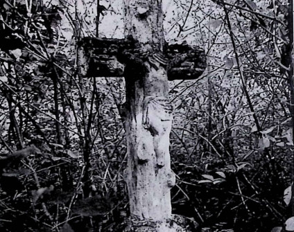 Nagrobek z krzyżem przypominającym pień drzewa na dwustopniowym cokole. Na przecięciu ramion krzyża relief Chrystusa. Otoczony gęstą roślinnością.