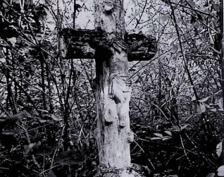 Nagrobek z krzyżem przypominającym pień drzewa na dwustopniowym cokole. Na przecięciu ramion krzyża relief Chrystusa. Otoczony gęstą roślinnością.