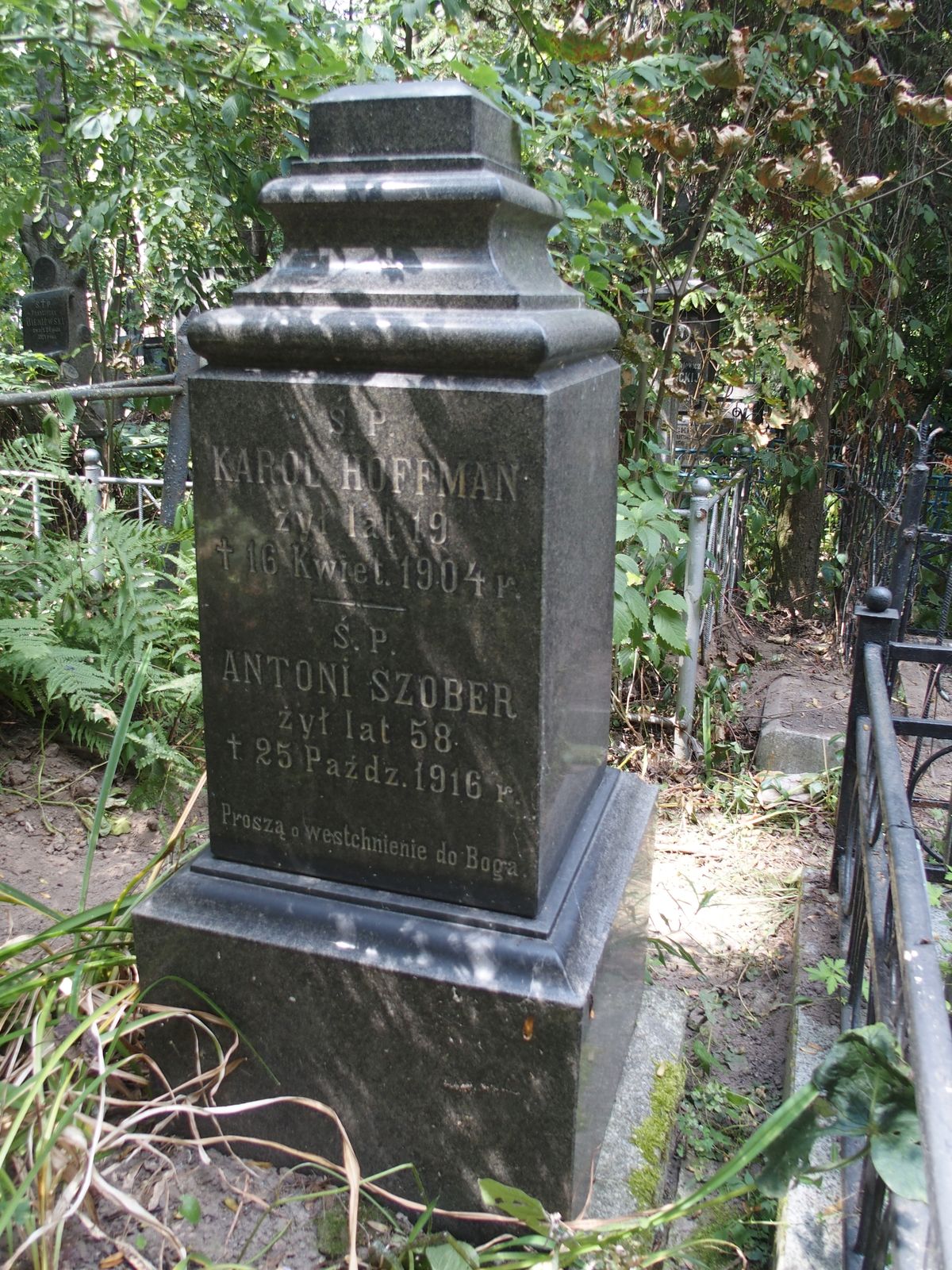 Tombstone of Karol Hoffman, Antoni Szober