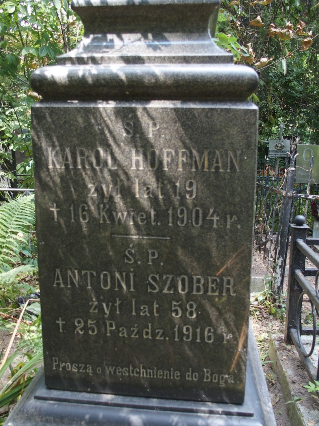Inscription from the tombstone of Karol Hoffman, Antoni Szober