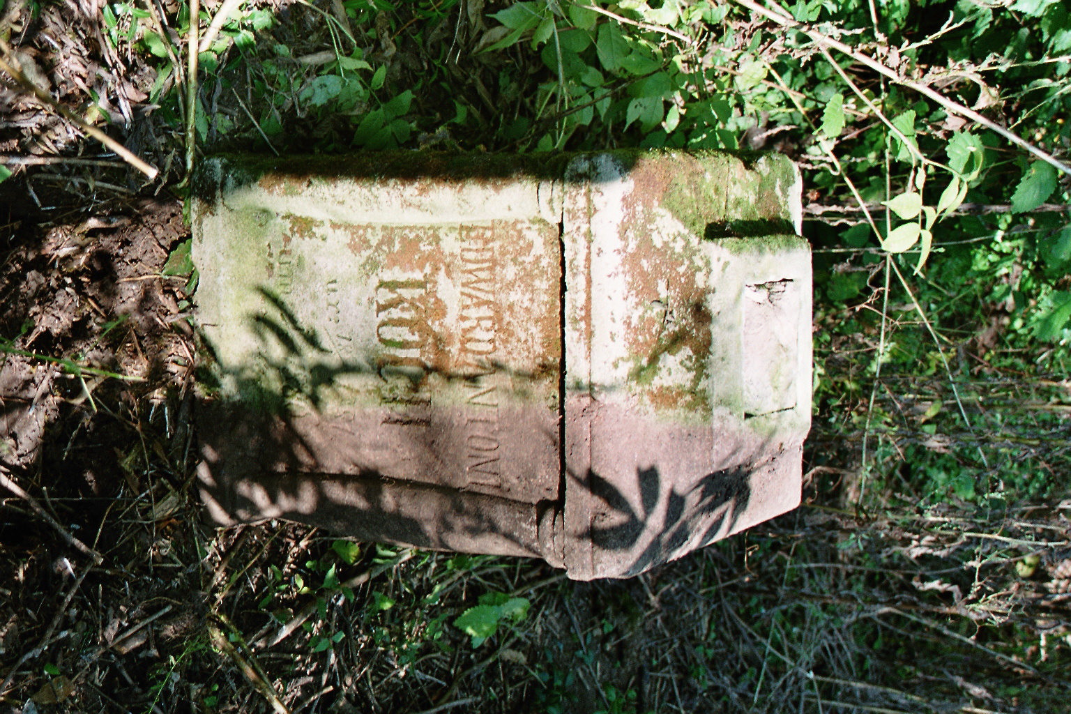 Tombstone of Edward Anton Koch