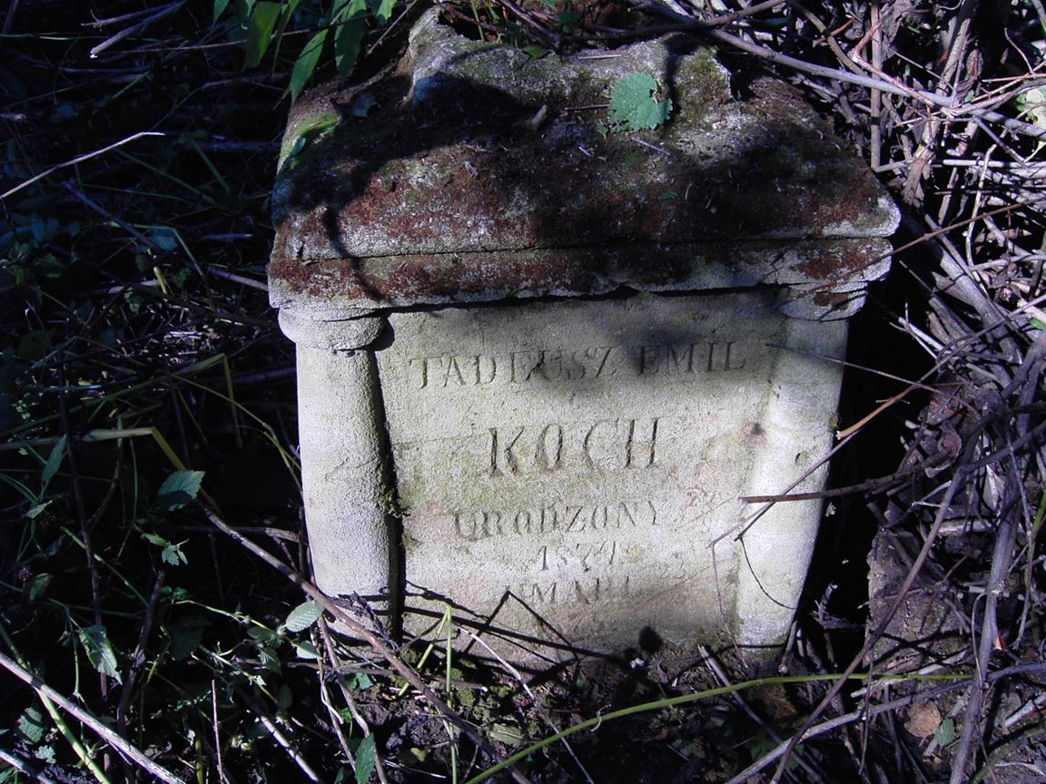Nagrobek Tadeusza Emila Kocha, cmentarz w Dźwiniaczce, stan z 2005