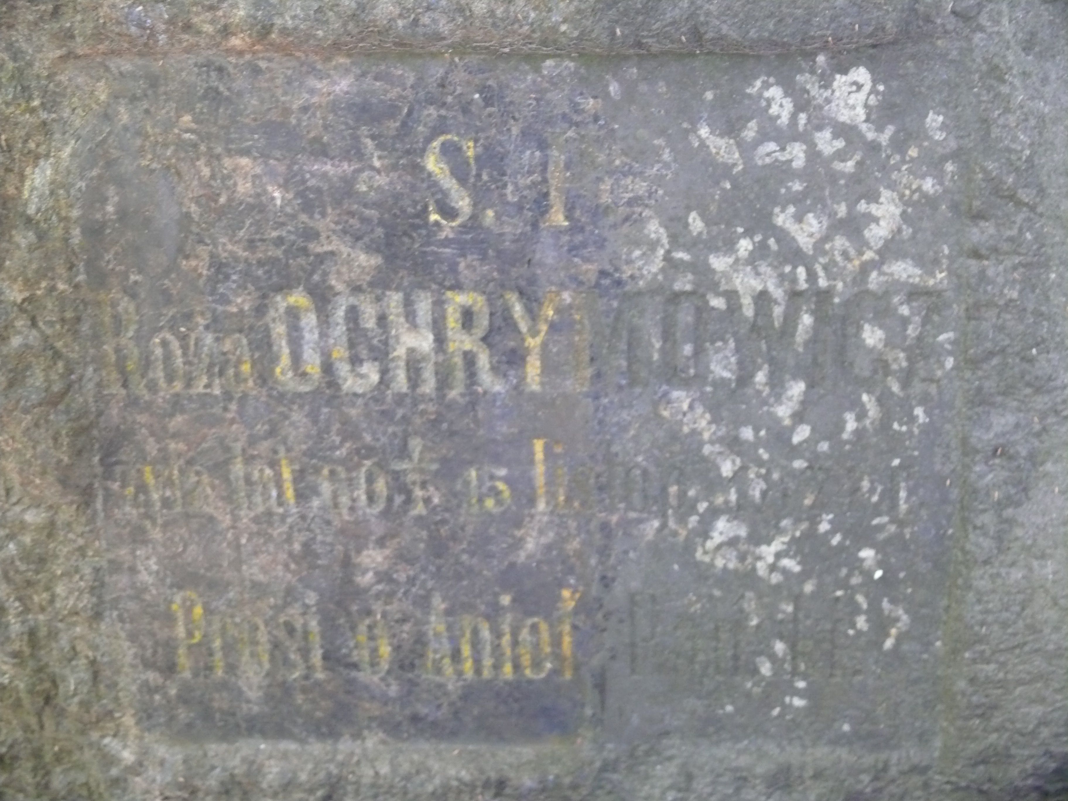Inscription from the tombstone of Róża Ochrymowicz