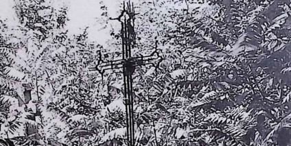 Żeliwny krzyż z ramionami w formie trójliścia i trzema promieniami na cokole, otoczony gęstą roślinnością.