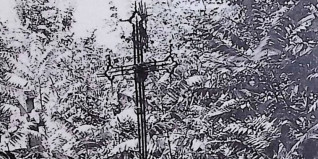 Żeliwny krzyż z ramionami w formie trójliścia i trzema promieniami na cokole, otoczony gęstą roślinnością.