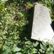 Photo montrant Tombstone of Augustyn Piaskowski