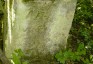 Photo montrant Tombstone of Anna Waszyt[...]a and N.N. [...]beat