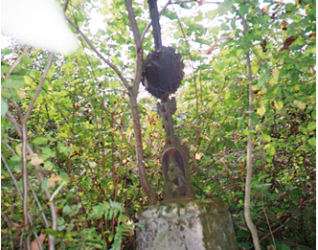 Nagrobek Jana Skrzyńskiego