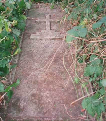 Nagobek Apoloni Tymińskiej