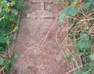 Nagobek Apoloni Tymińskiej