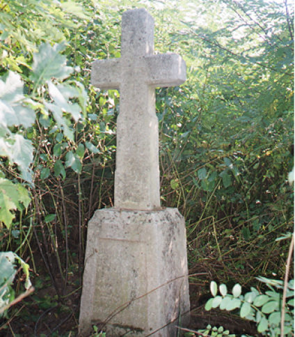 Nagrobek Karola Saliniewicza