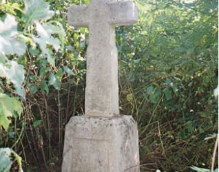 Nagrobek Karola Saliniewicza