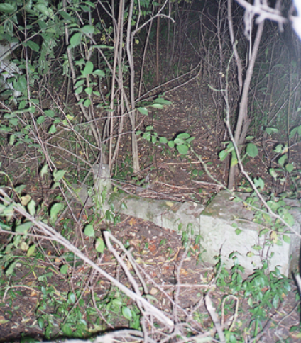 Nagrobek Marii Borkowskiej