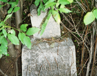 Nagrobek Michała i [...] Statkiewicz