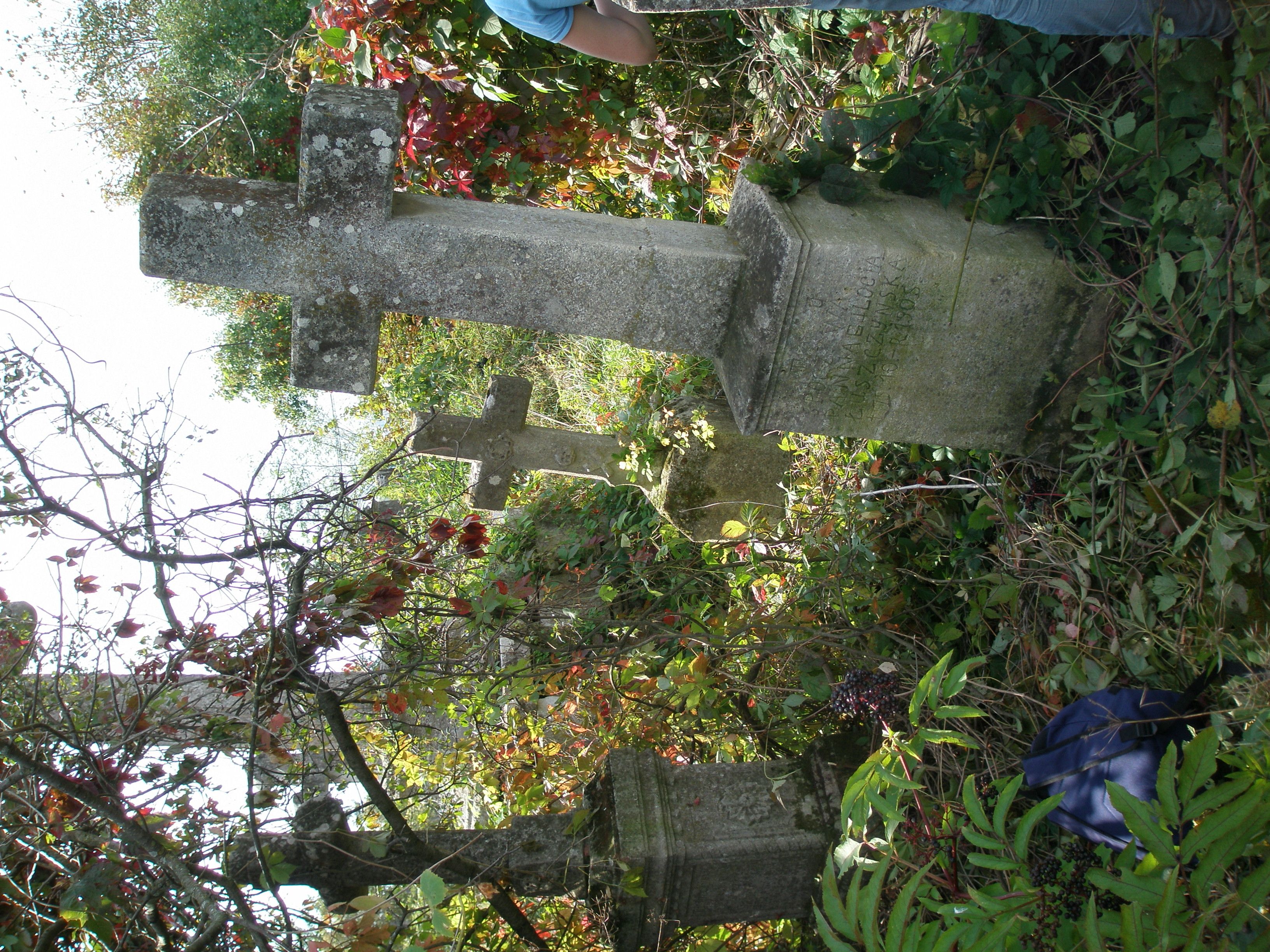 Fotografia przedstawiająca Tombstone of Eulogia Luszczynska