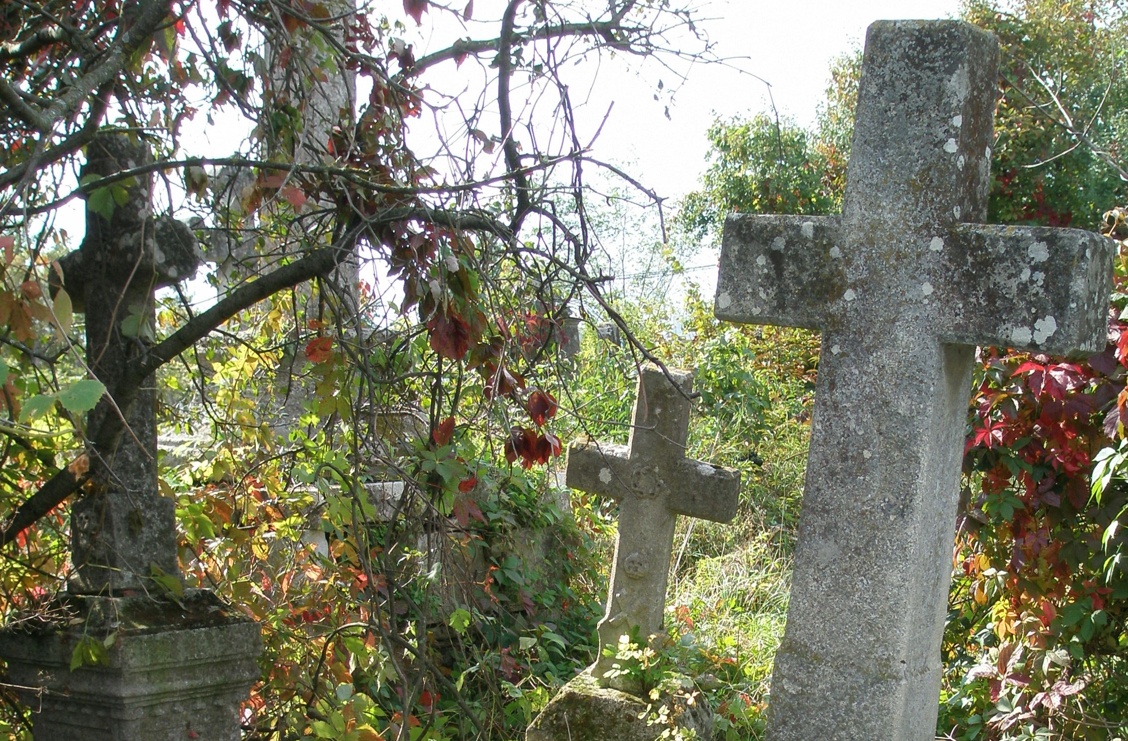 Fotografia przedstawiająca Tombstone of Eulogia Luszczynska